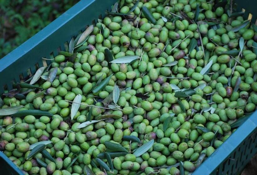 호텔 A Casa Del Tosi