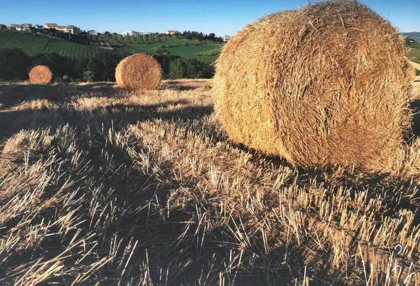 ホテル Agriturismo La Rustica