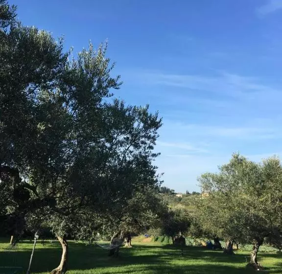 ホテル Agriturismo La Rustica