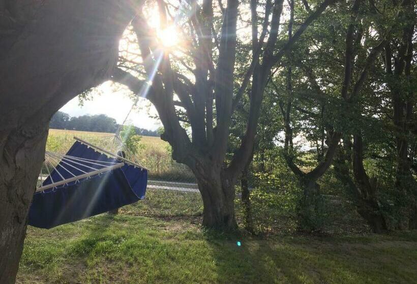 Отель Herthaquelle