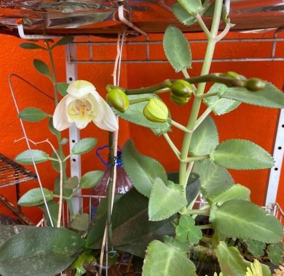 Отель Pousada Fraga