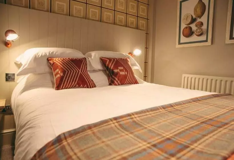 Hotelli The Curious Pig In The Parlour