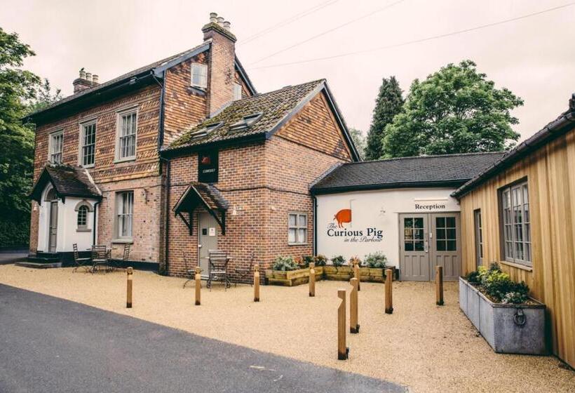 Hotelli The Curious Pig In The Parlour