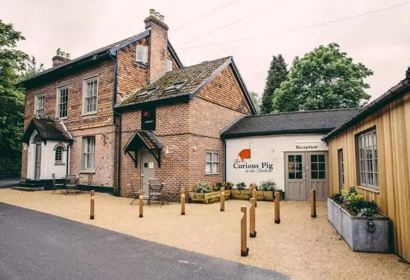 Hotelli The Curious Pig In The Parlour