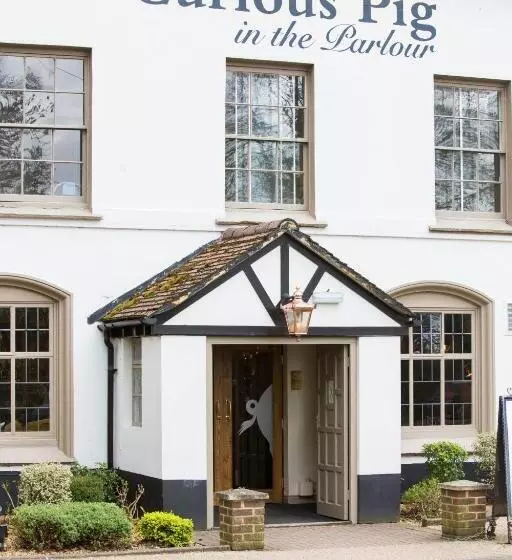 Hotelli The Curious Pig In The Parlour