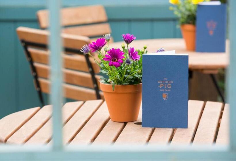 Hotelli The Curious Pig In The Parlour