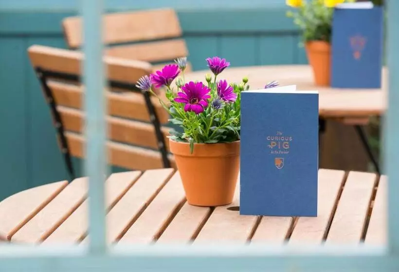 Hotelli The Curious Pig In The Parlour