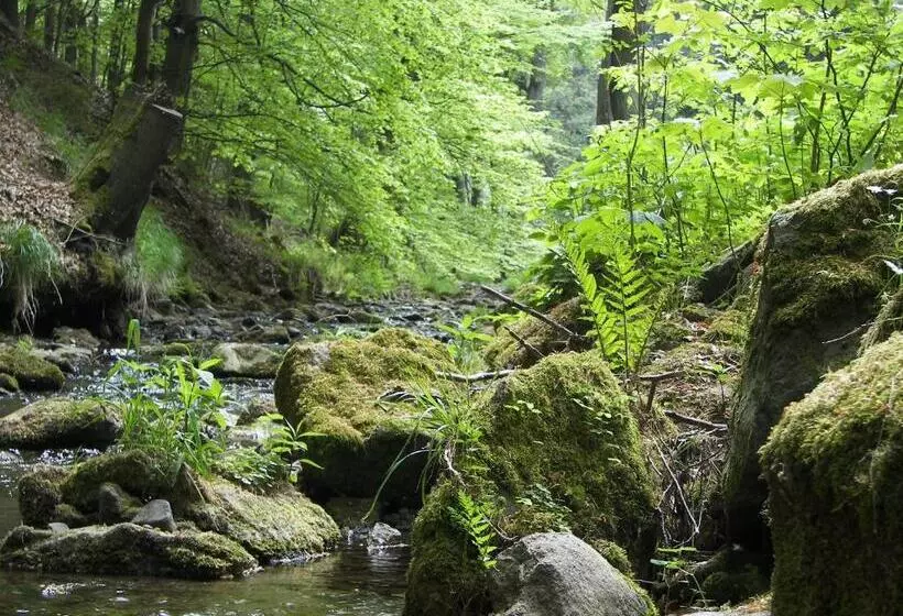 Hotelli Zum Schneekopf Garni