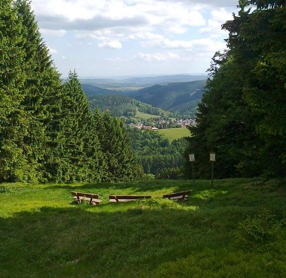 Отель Zum Schneekopf Garni