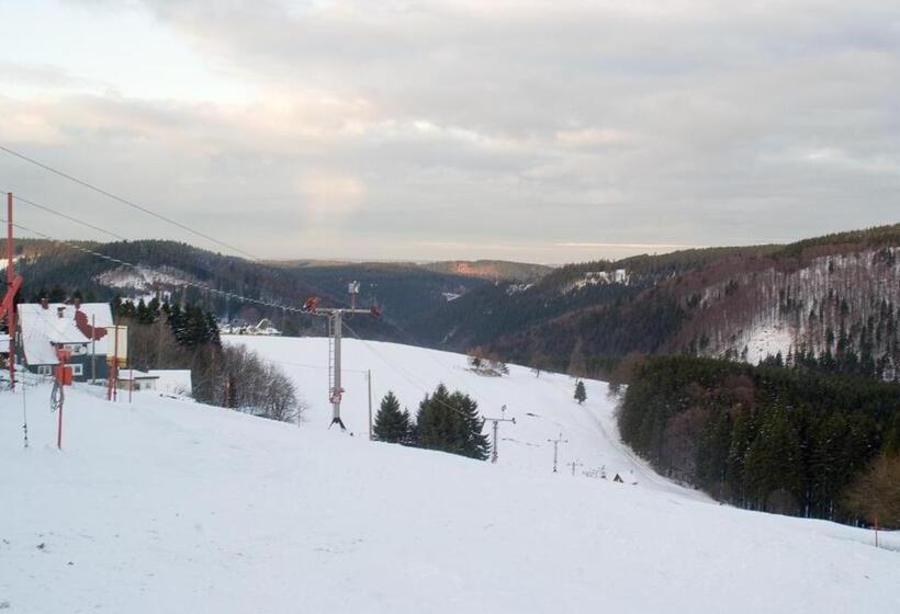 Отель Zum Schneekopf Garni