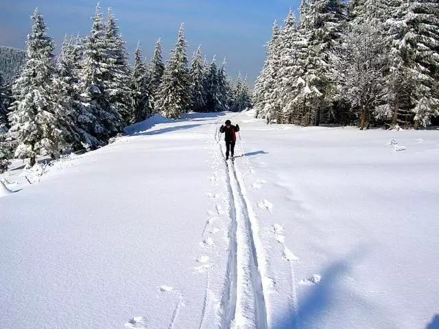 Hotelli Zum Schneekopf Garni
