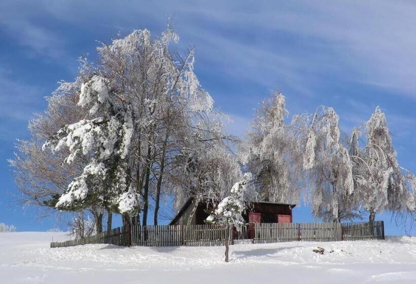 Отель Zum Schneekopf Garni
