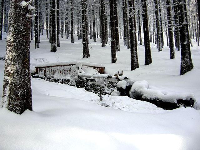 Отель Zum Schneekopf Garni