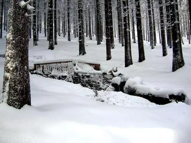 Hotelli Zum Schneekopf Garni