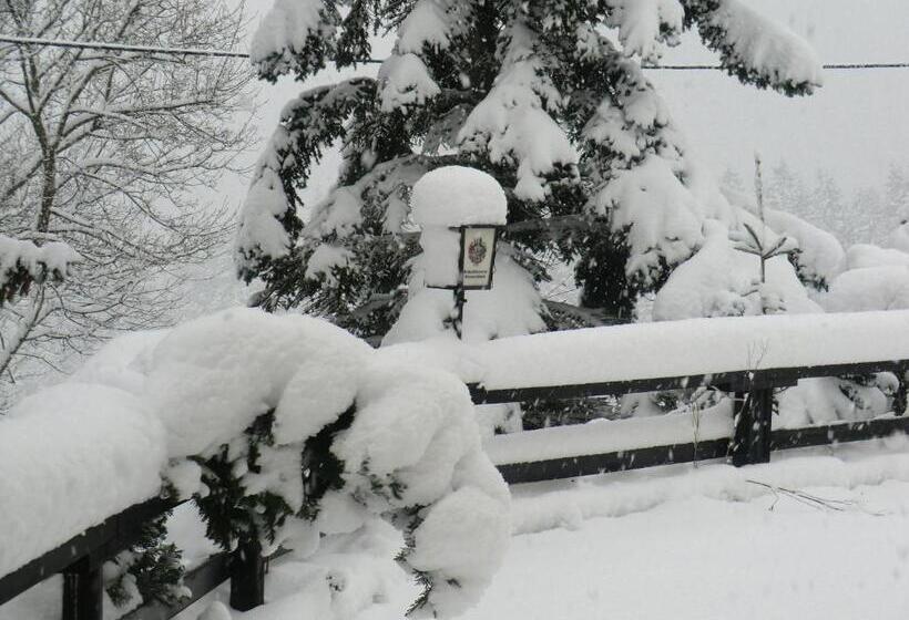 Отель Zum Schneekopf Garni