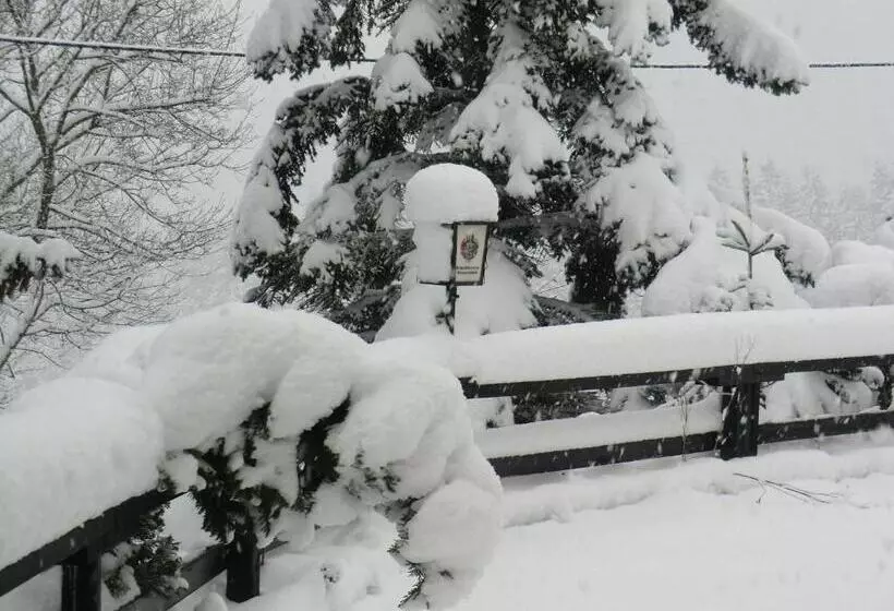 Hotelli Zum Schneekopf Garni