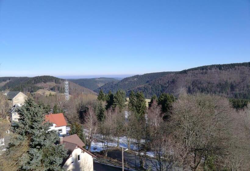 Отель Zum Schneekopf Garni