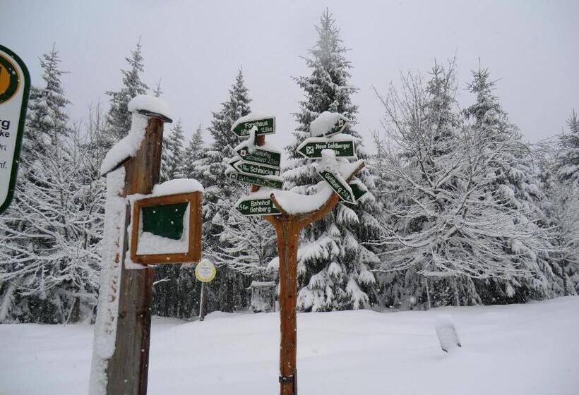 Отель Zum Schneekopf Garni