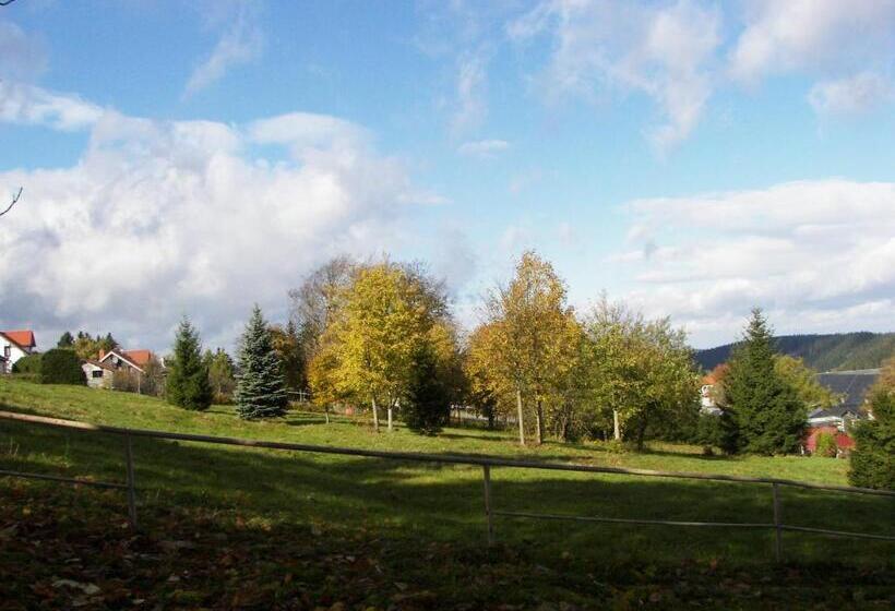 Отель Zum Schneekopf Garni