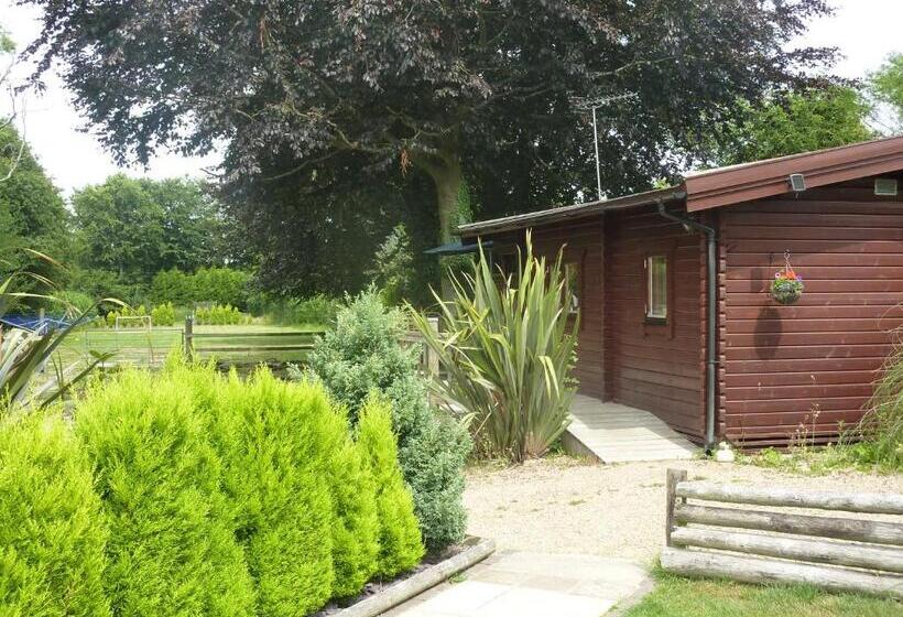 פנסיון Cypress Log Cabins Accommodation