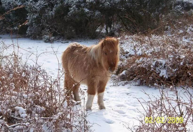 Majatalo Cypress Log Cabins Accommodation
