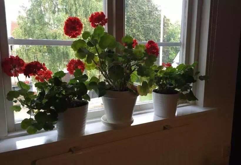 پانسیون Håverud Hostel