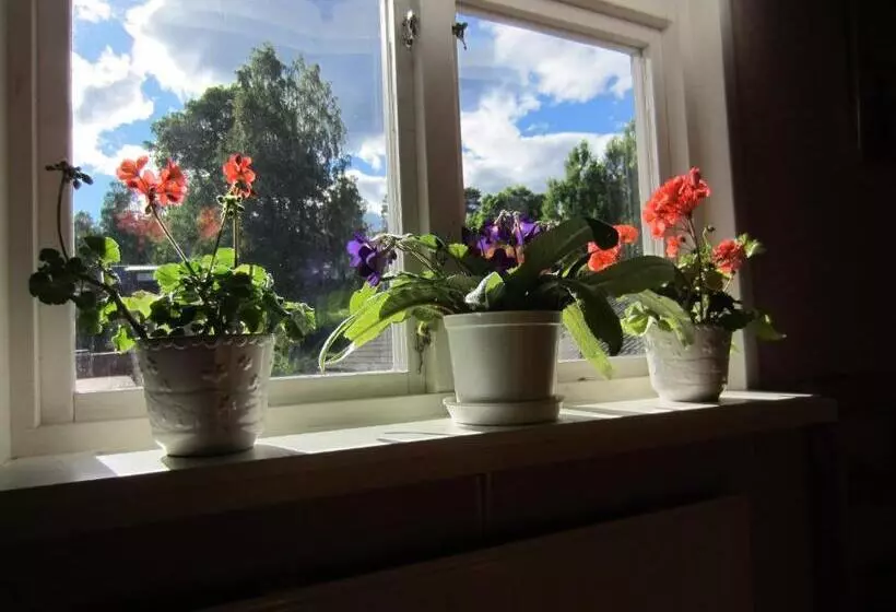 پانسیون Håverud Hostel