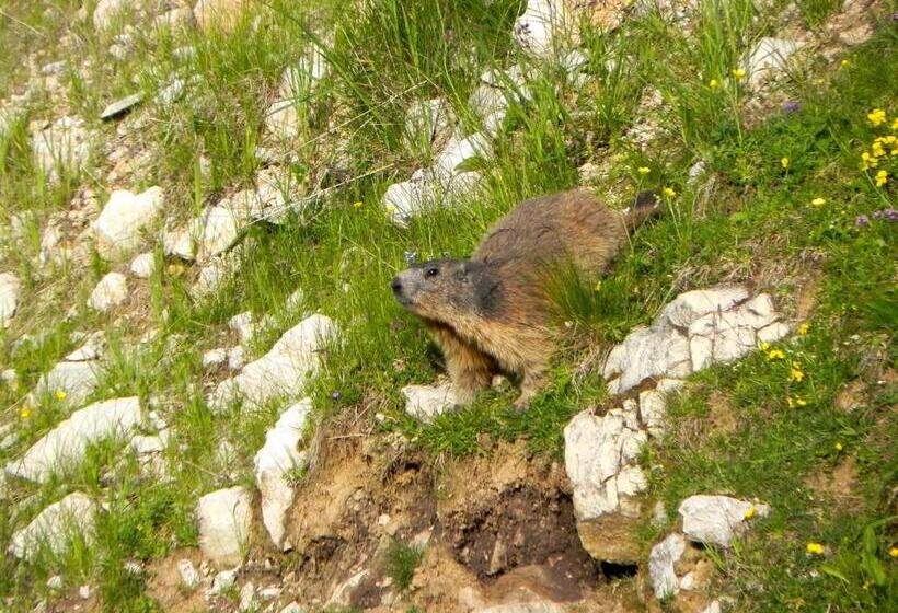 Pensjonat Rifugio Monte Baldo