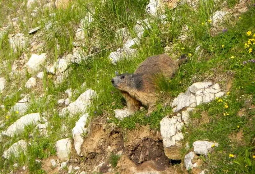 Majatalo Rifugio Monte Baldo