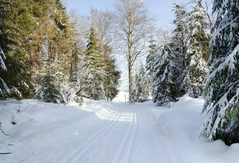 Pension Waldesruh