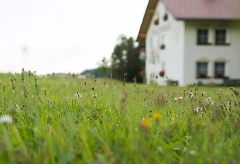 Pension Waldesruh