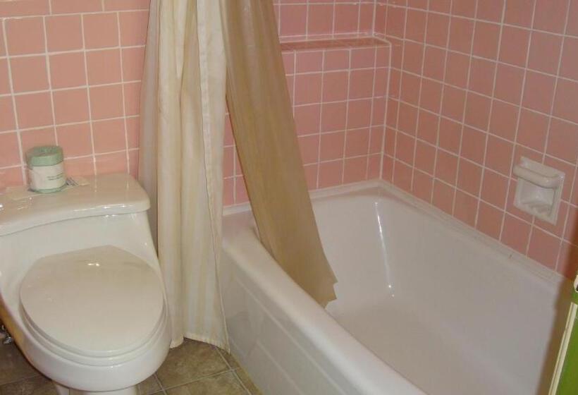 Pinconning Trail Inn Motel