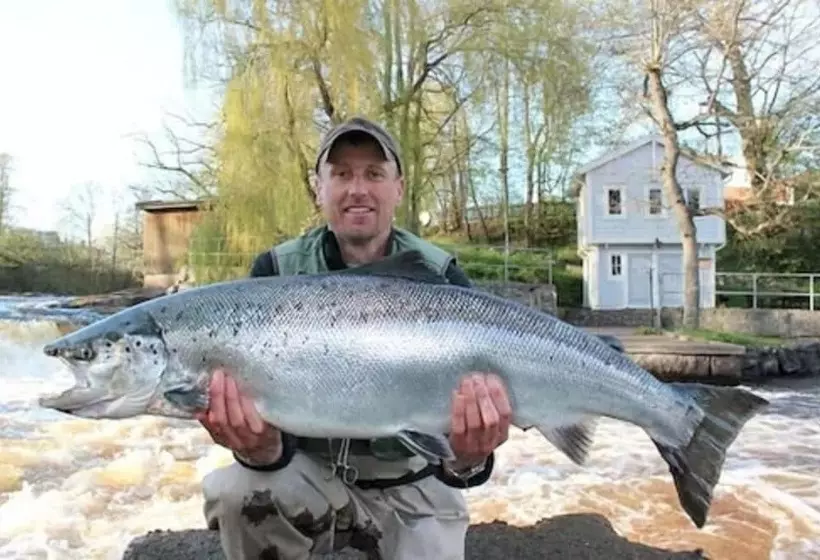 Lomakeskus Långasjönäs Camping & Stugby