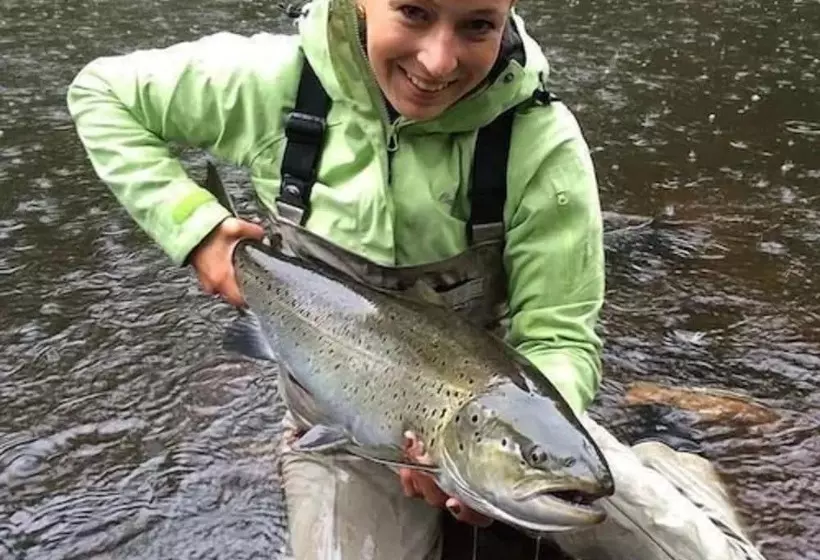 Lomakeskus Långasjönäs Camping & Stugby
