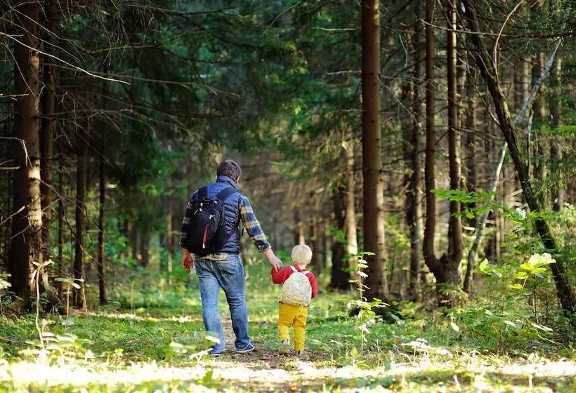 Lomakeskus Långasjönäs Camping & Stugby