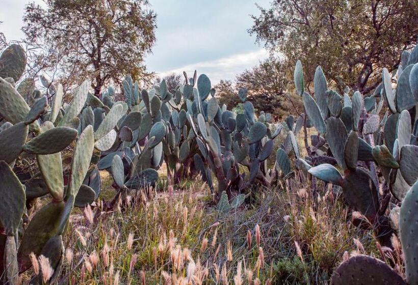 Samay Hotel Boutique