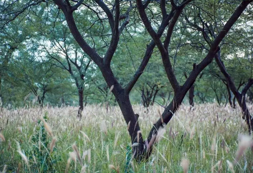 Samay Hotel Boutique