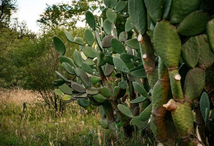 Samay Hotel Boutique