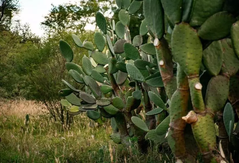 Samay Hotel Boutique