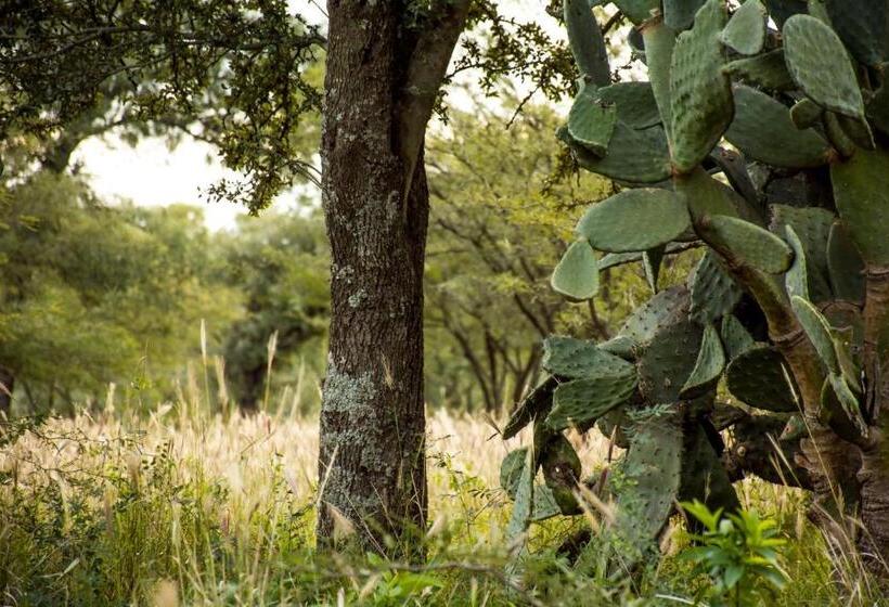 Samay Hotel Boutique