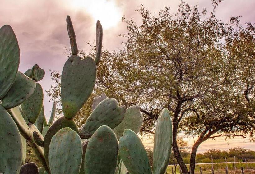 Samay Hotel Boutique