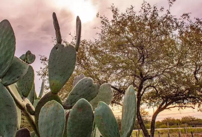 Samay Hotel Boutique