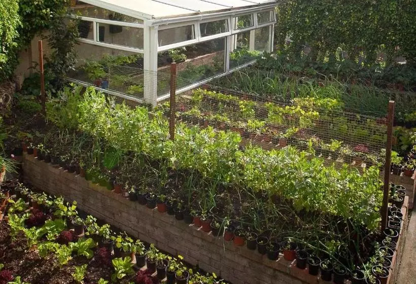 酒店 Adare Guesthouse