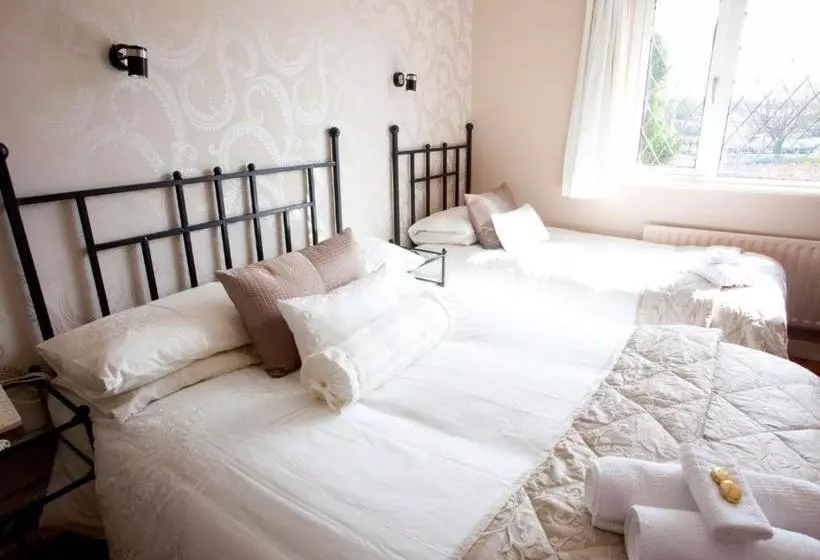 酒店 Adare Guesthouse