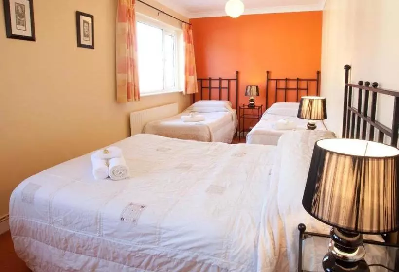 酒店 Adare Guesthouse