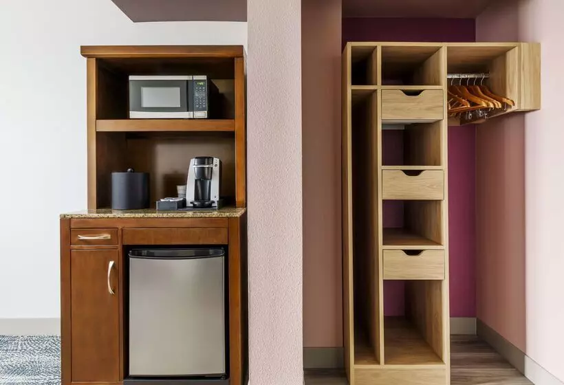 هتل Hilton Garden Inn Orlando At Seaworld