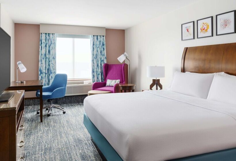 Hotel Hilton Garden Inn Orlando At Seaworld