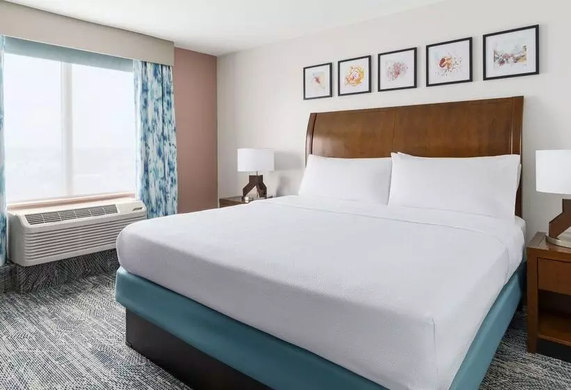 هتل Hilton Garden Inn Orlando At Seaworld