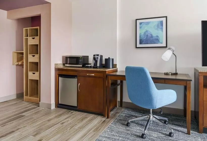 هتل Hilton Garden Inn Orlando At Seaworld