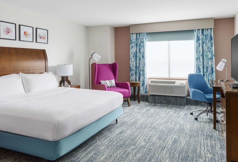 Hotel Hilton Garden Inn Orlando At Seaworld